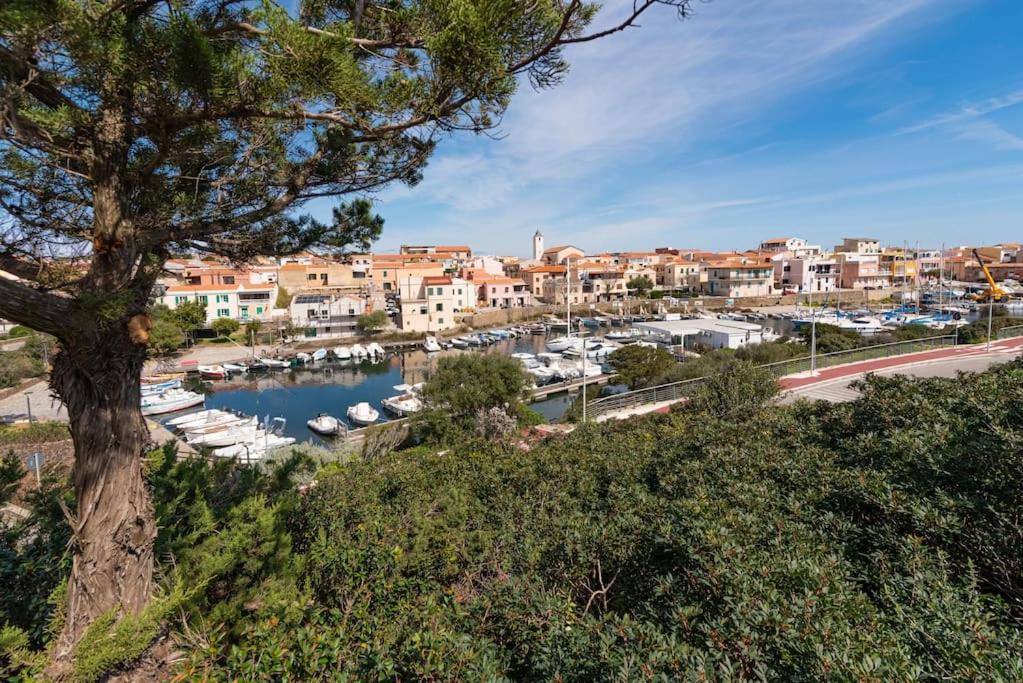 La Lampara - Casa Panoramica 4 Km Dalla Pelosa Holiday home